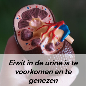 Eiwit in de urine bij hoge bloeddruk en diabetes