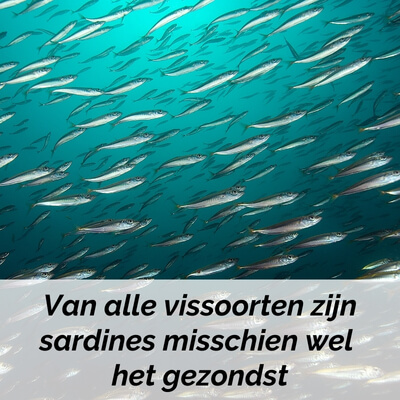 sardines eten bij hoge bloeddruk omega-3
