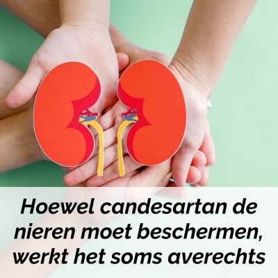 nierschade door candesartan