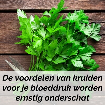 verlaag bloeddruk gezonde kruiden verlaag bloeddruk gezonde kruiden